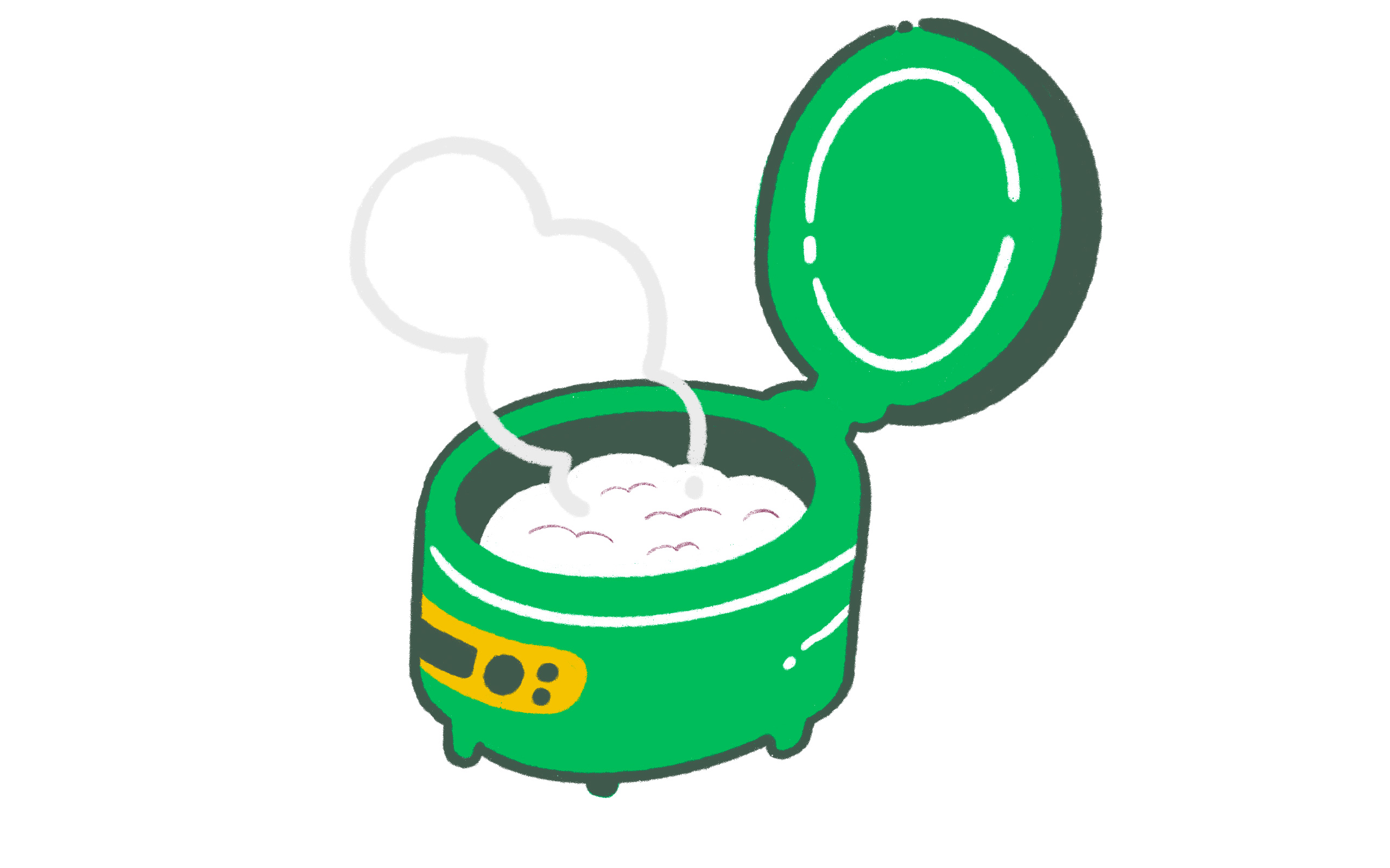 a rice cooker